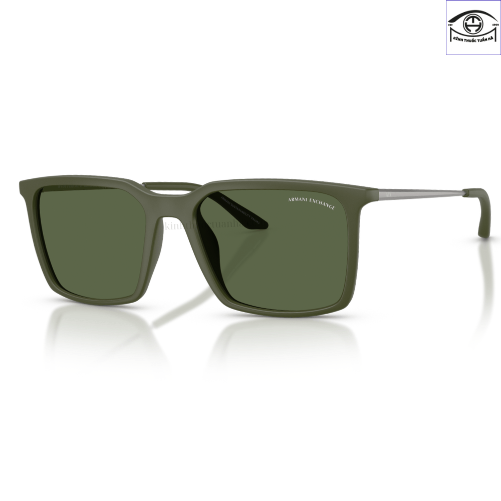 Kính Mát Armani Exchange 0AX4170SU