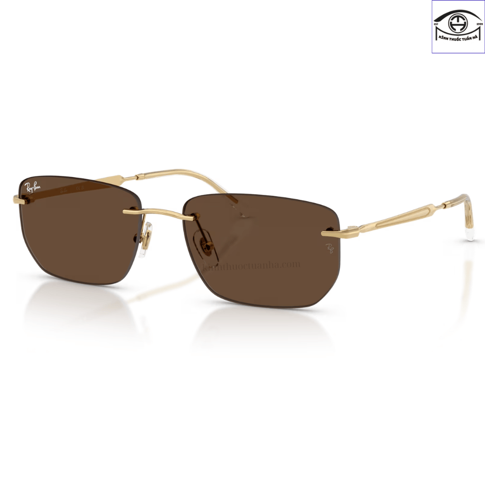 Kính Mát Ray-Ban 0RB3768