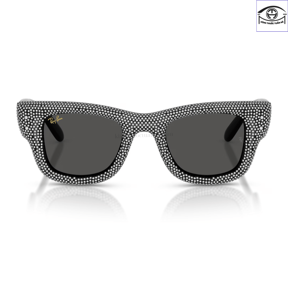 Kính Mát Ray-Ban Wayfarer Puffer 0RB4940BP 4 Kính Mát Ray-Ban Wayfarer Puffer 0RB4940BP - Ảnh 2