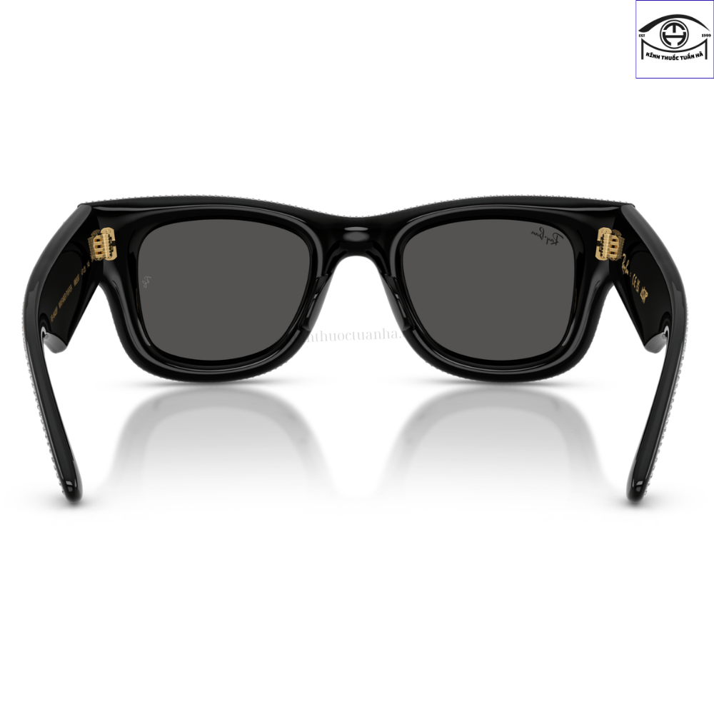 Kính Mát Ray-Ban Wayfarer Puffer 0RB4940BP 6 Kính Mát Ray-Ban Wayfarer Puffer 0RB4940BP - Ảnh 4