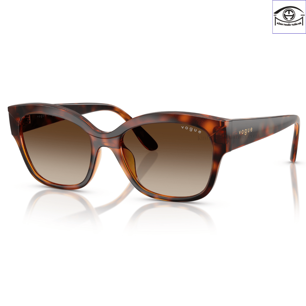 Kính mát Vogue Eyewear 0VO5638SU