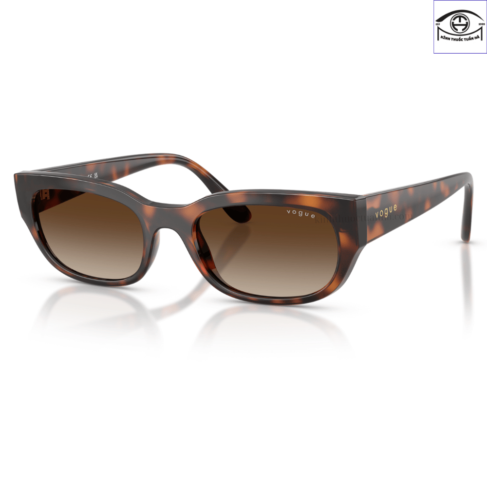 Kính mát Vogue Eyewear 0VO5669S