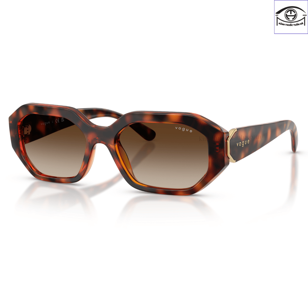 Kính mát Vogue Eyewear 0VO5675S