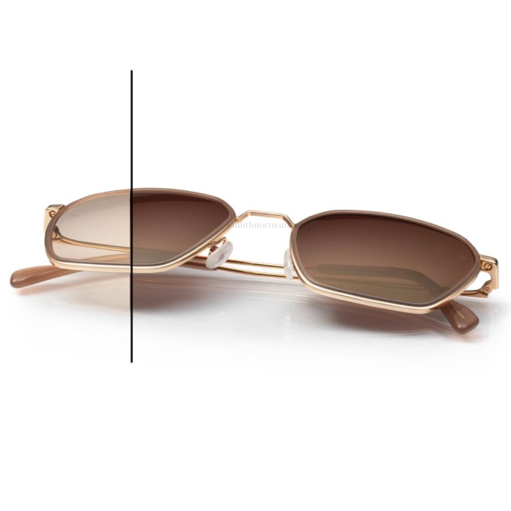 Tròng kính râm đổi màu ZEISS AdaptiveSun 13 Tròng kính râm đổi màu ZEISS AdaptiveSun - Ảnh 11